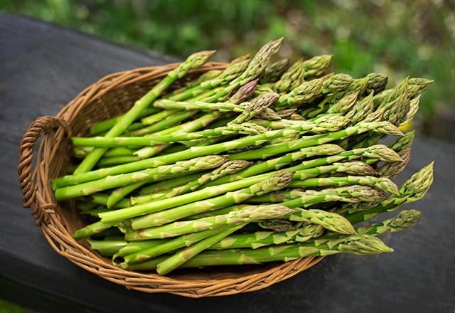 Green asparagus premium cut